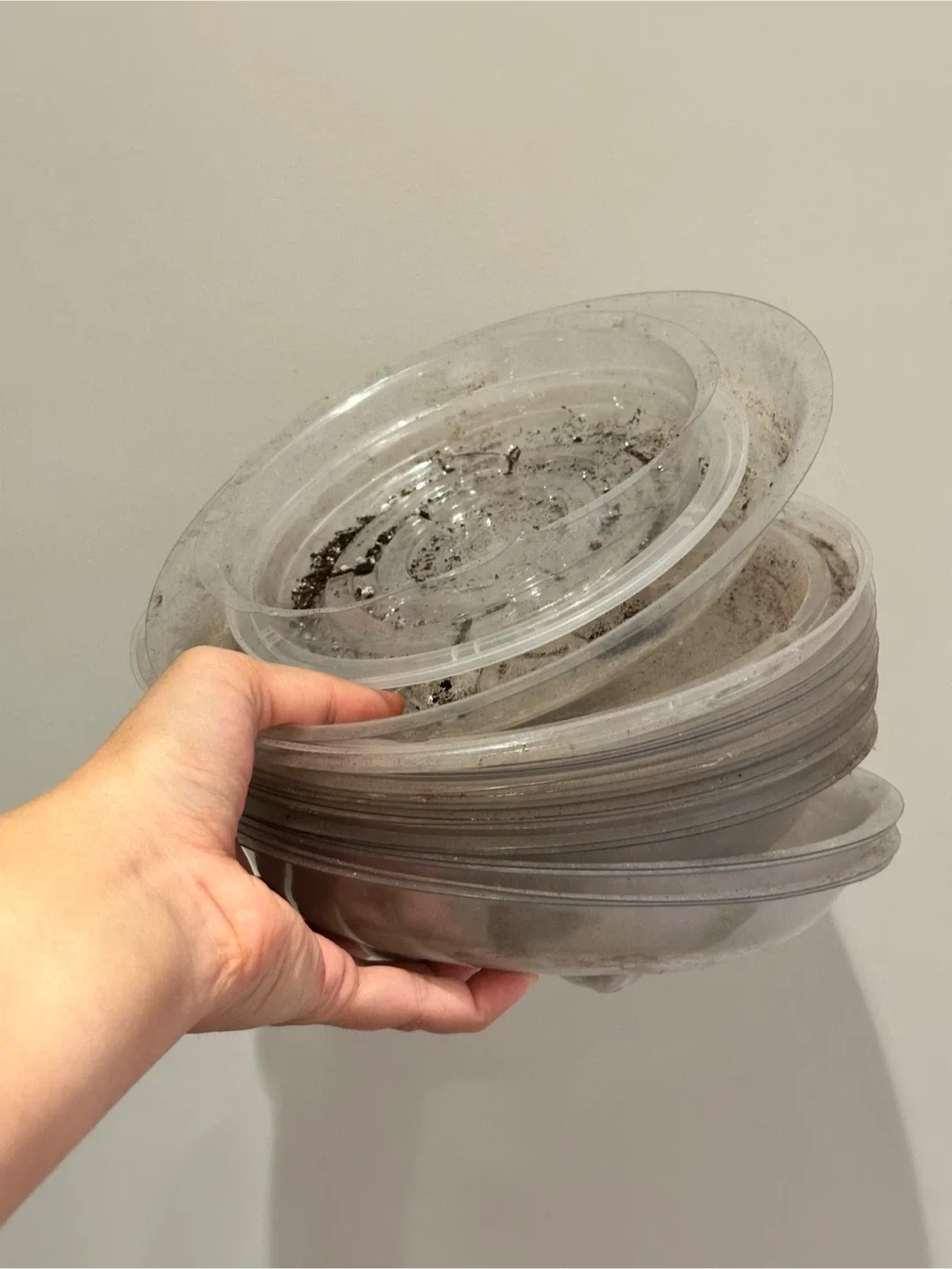 Planter Saucers #freecycle thumbnail