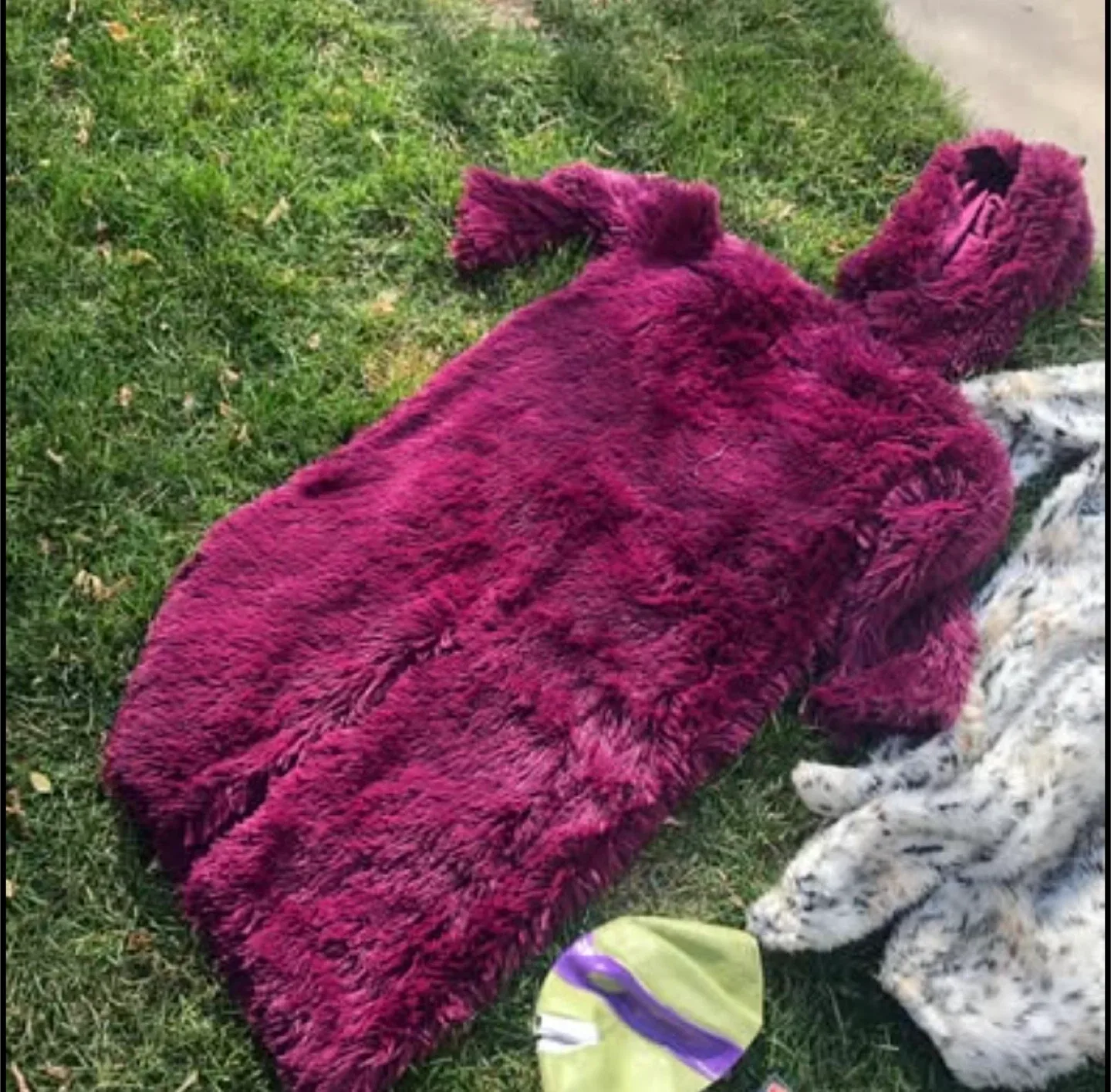 Halloween Costumes must go today.