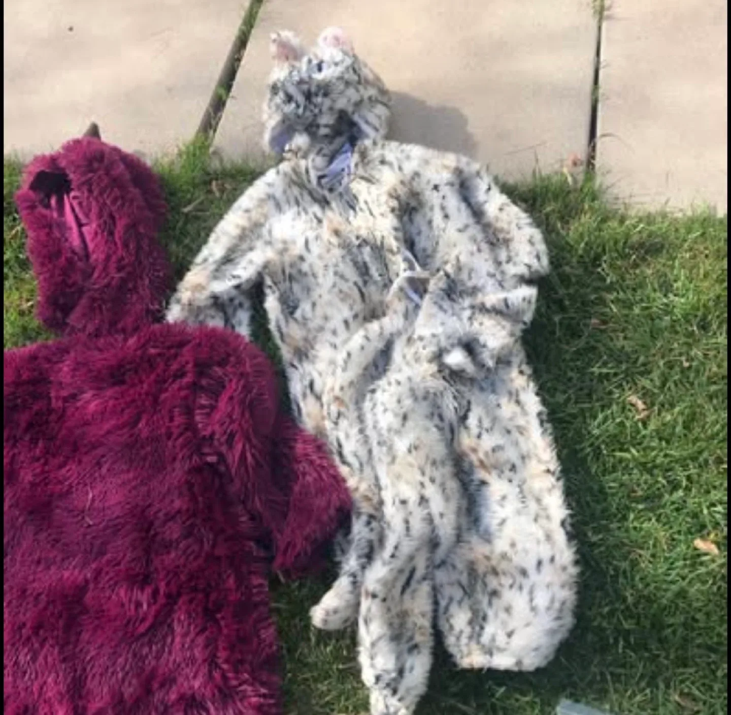 Halloween Costumes must go today. image indicator(2)