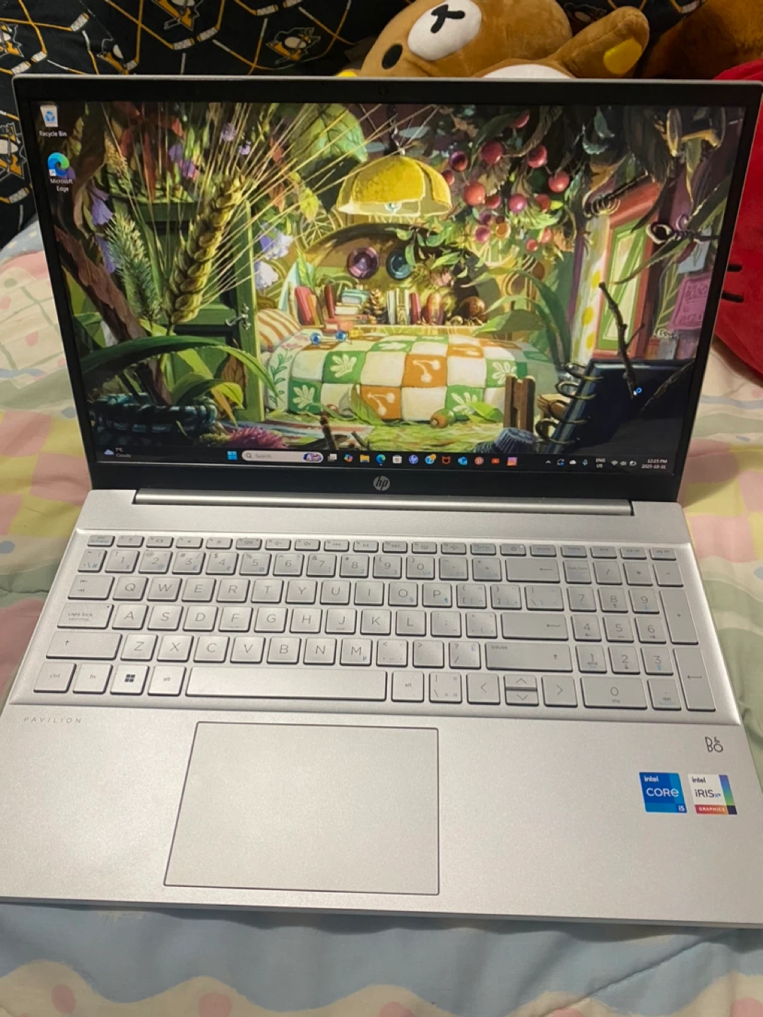HP Pavilion Laptop - 475GB Storage