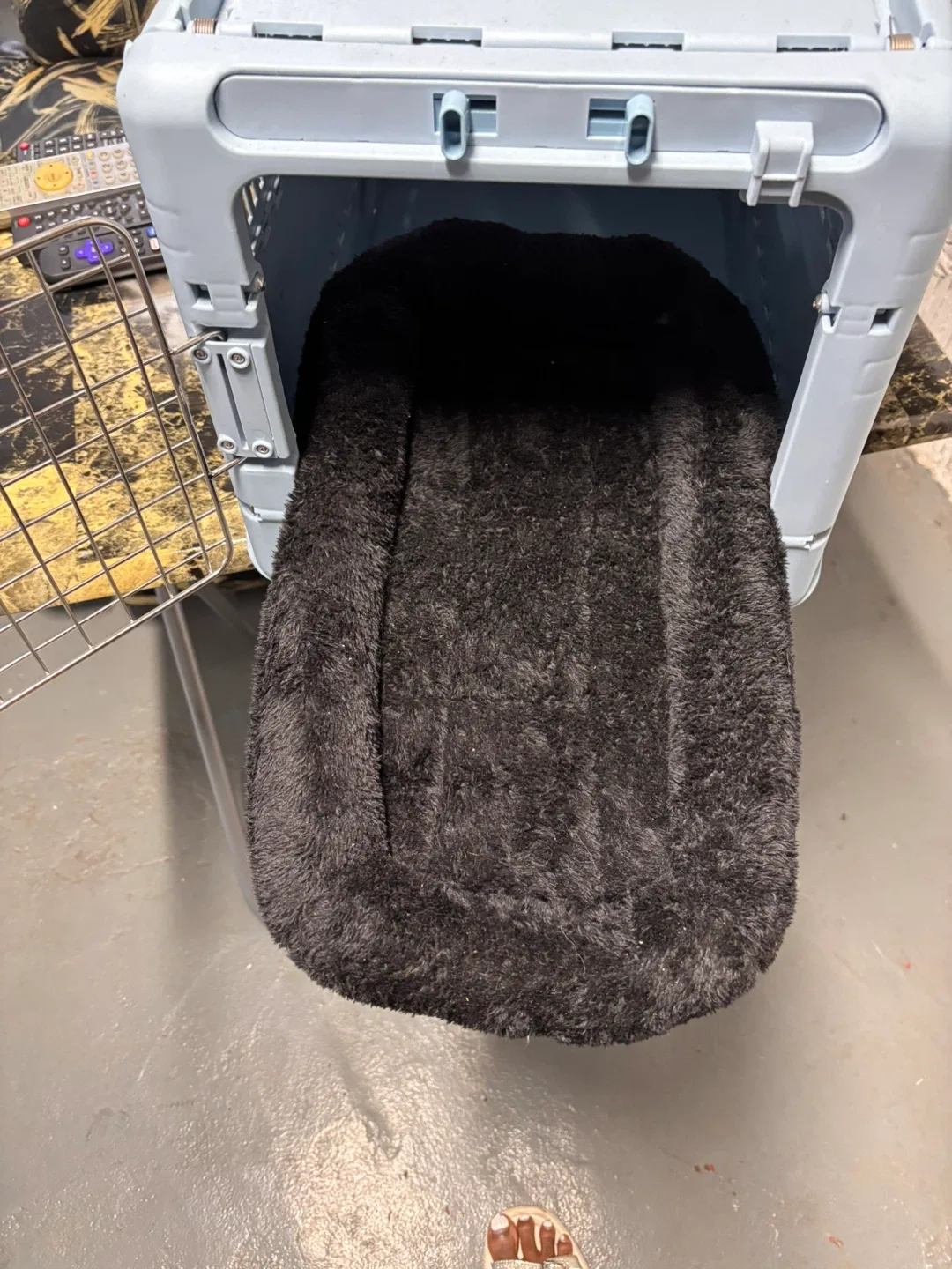 SportPet X-Small Blue Pet Travel Carrier image indicator(8)