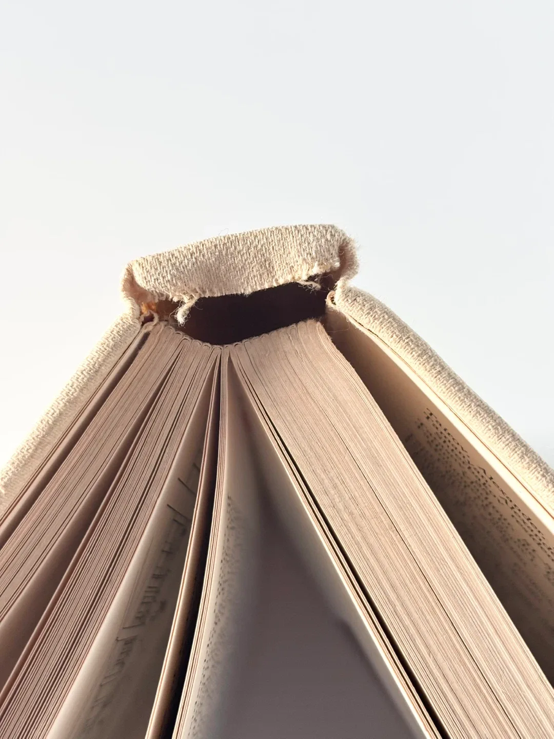 Vintage town and Revolution Soviet architecture book image indicator(6)