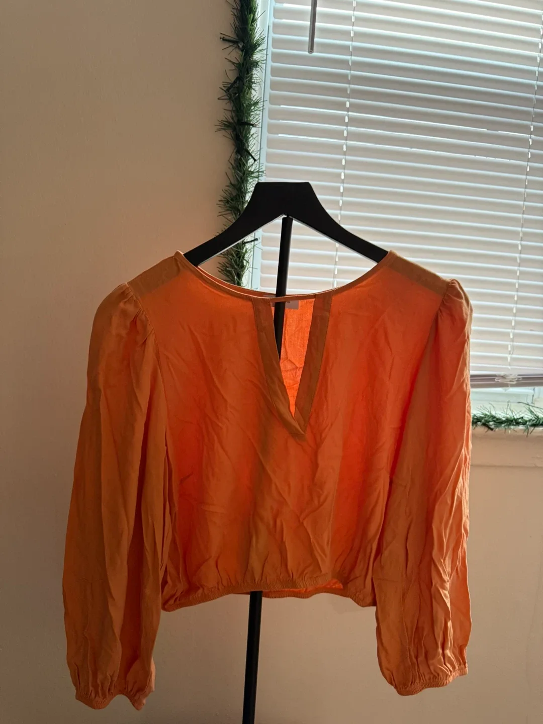 Orange Blouse image indicator(2)