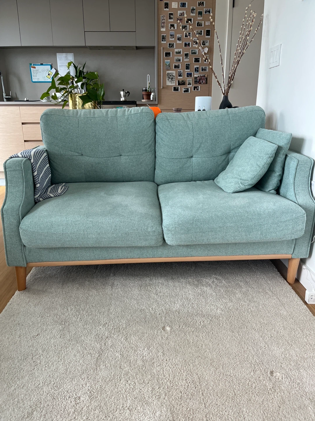 Light Green Loveseat Sofa