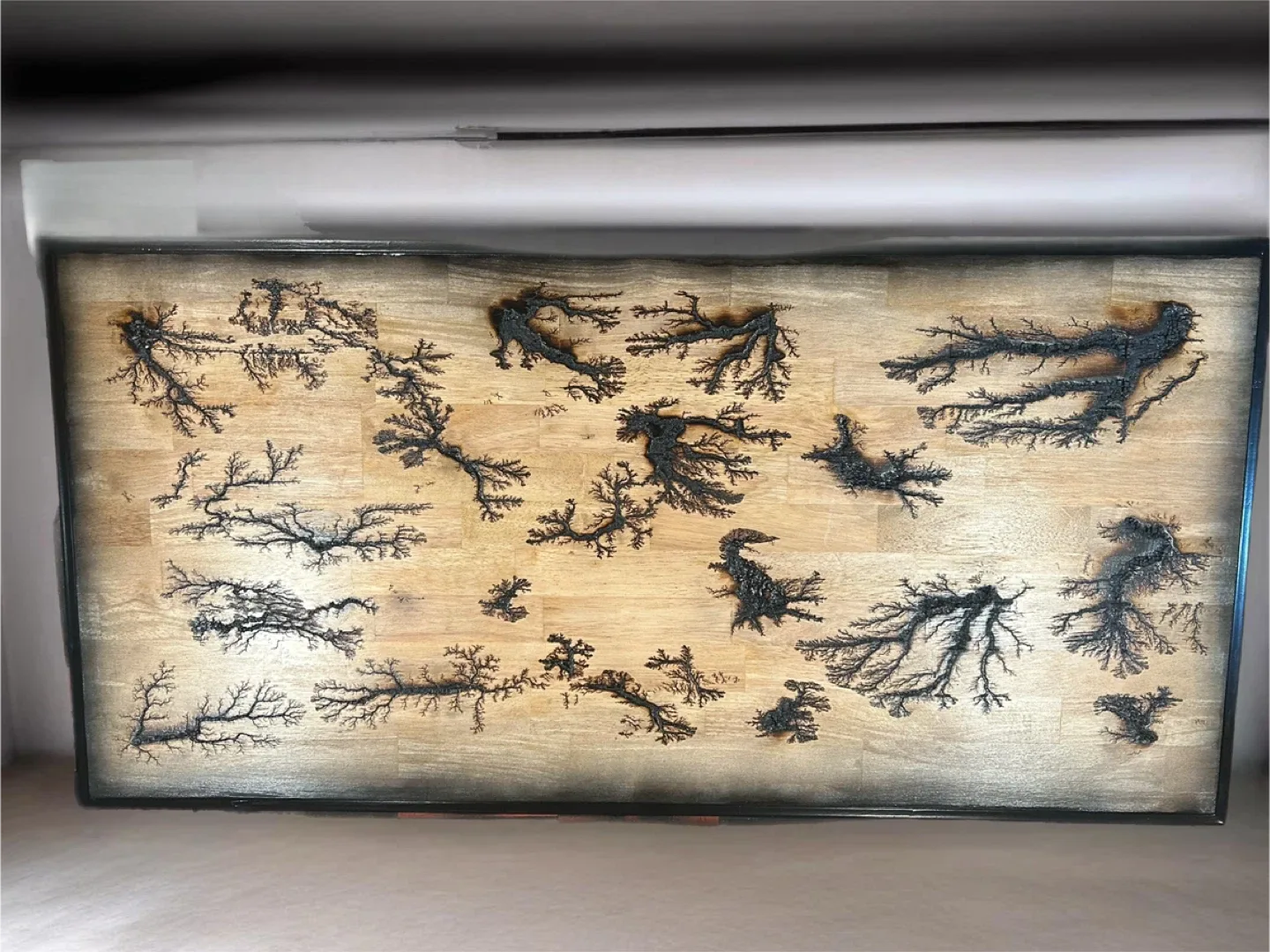 Fractal burned desk image indicator(2)