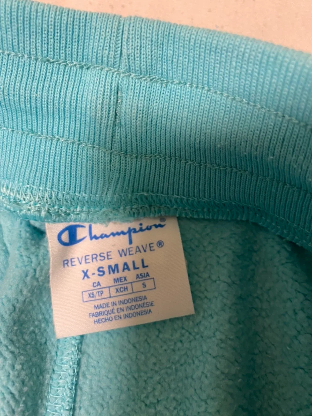 Champion Reverse Weave X-Small Mint Floral Motif Jogger Pant image indicator(2)