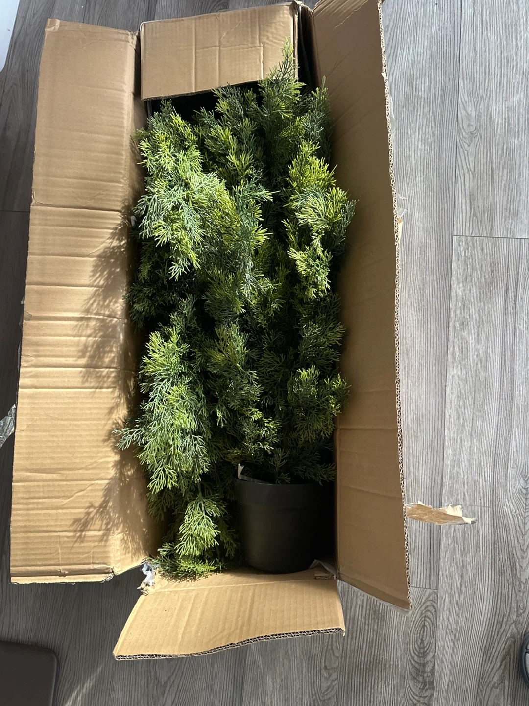Artificial Cedar Trees (Set of 2) - photo 3