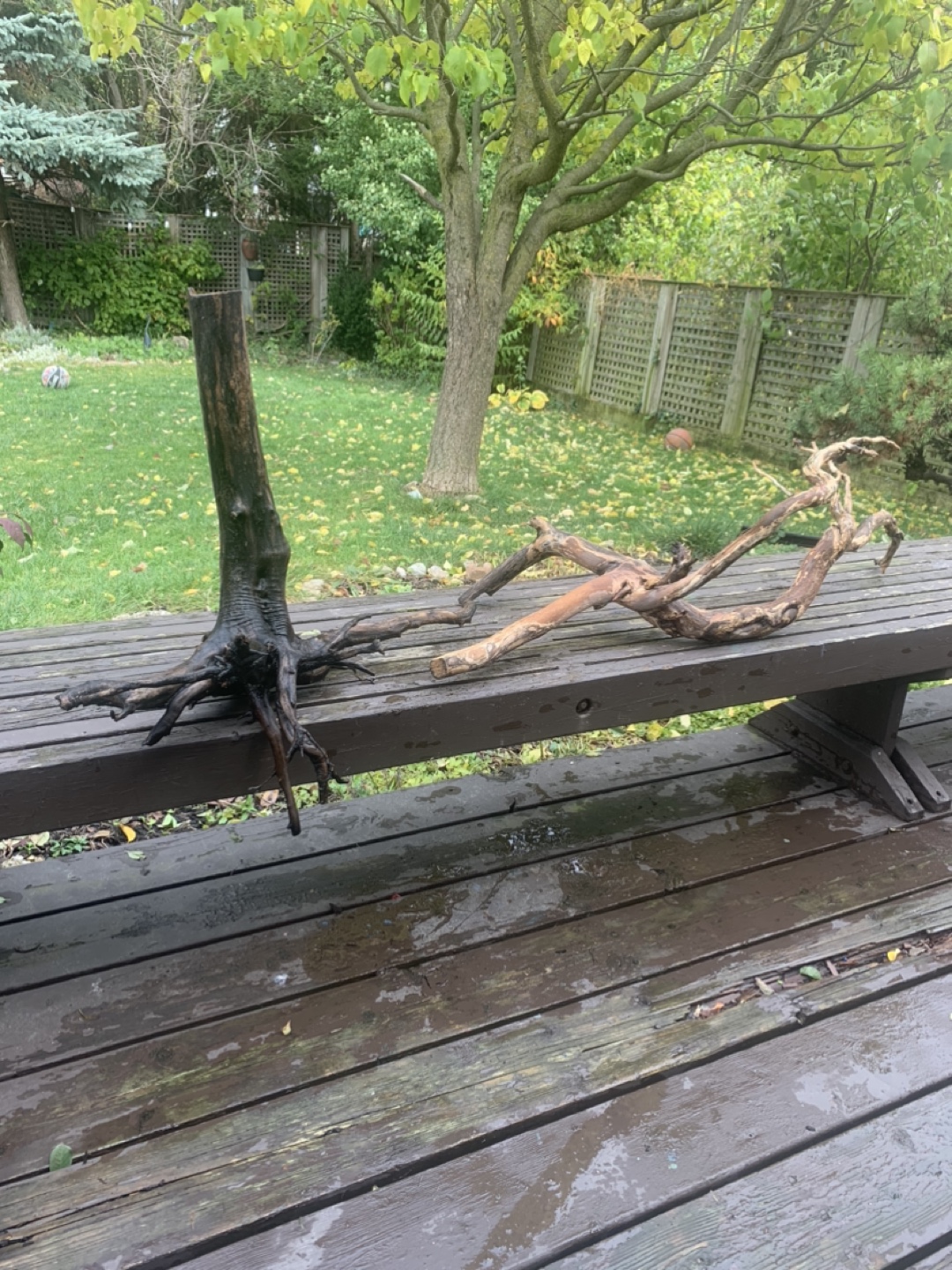Driftwood for Aquarium or Decoration - photo 2