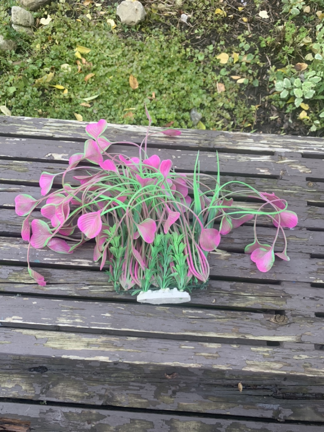 Aquarium Plant Decoration