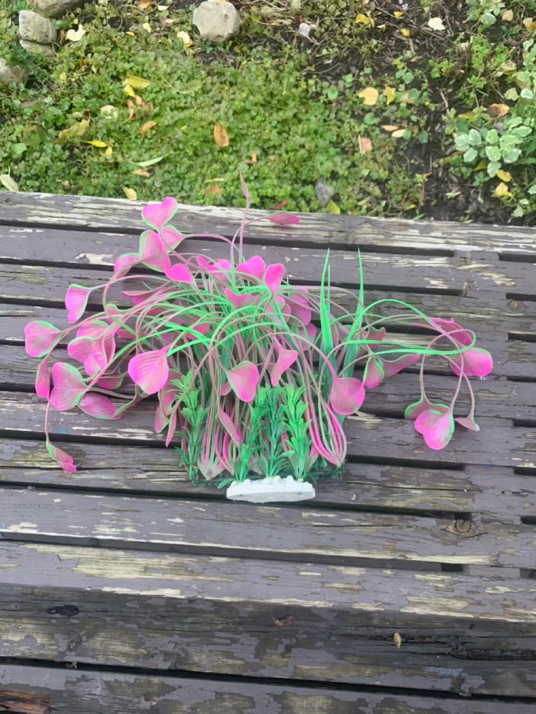 Aquarium Plant Decoration