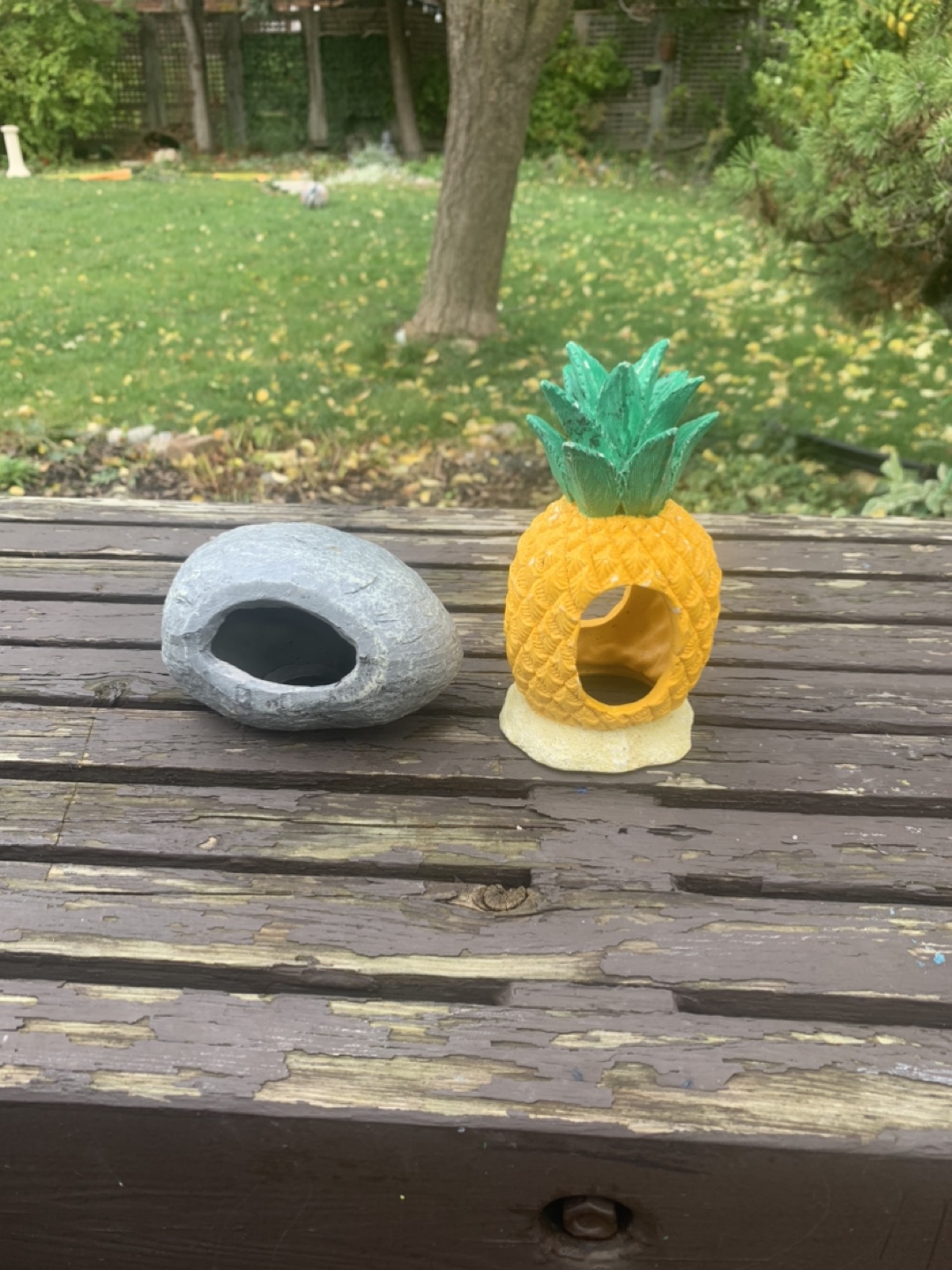 Aquarium Decorations - Pineapple & Rock