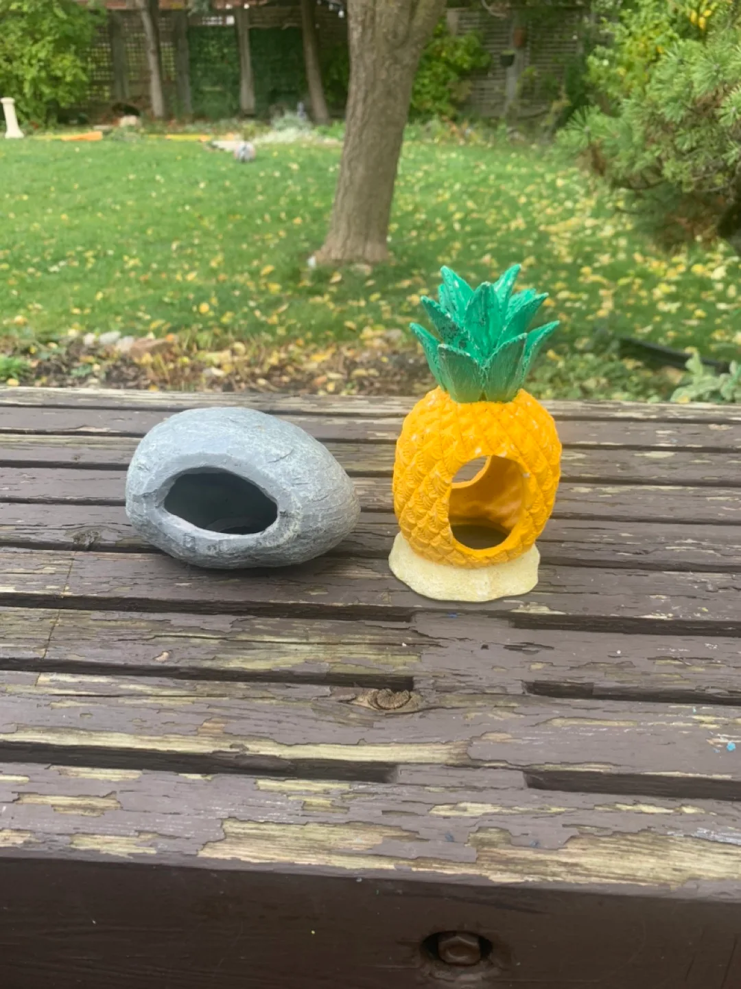 Aquarium Decorations - Pineapple & Rock