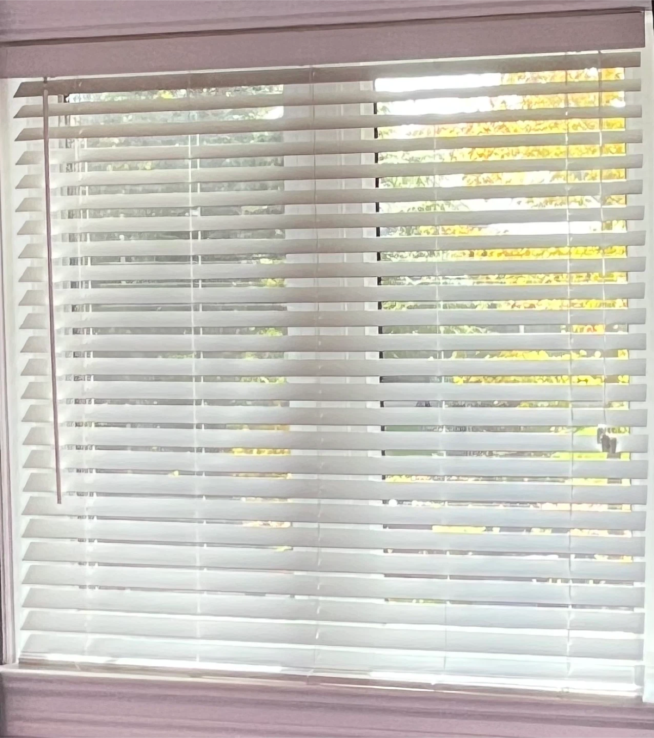 White blinds - 45 x 45