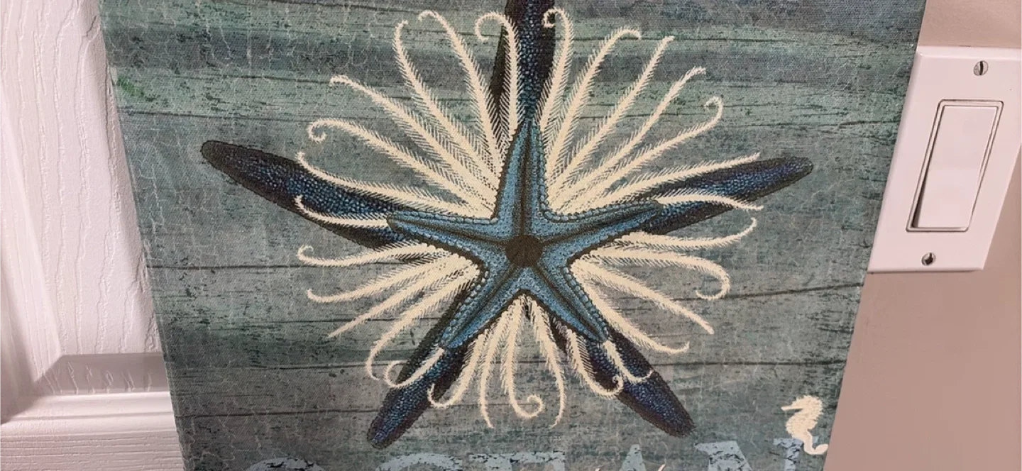 Ocean Starfish Wall Art image indicator(2)