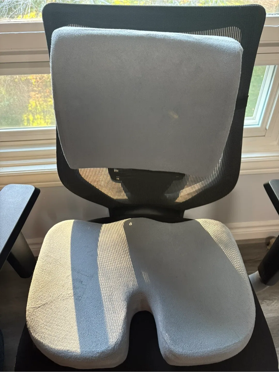 Grey Seat Cushion and Lumbar Support