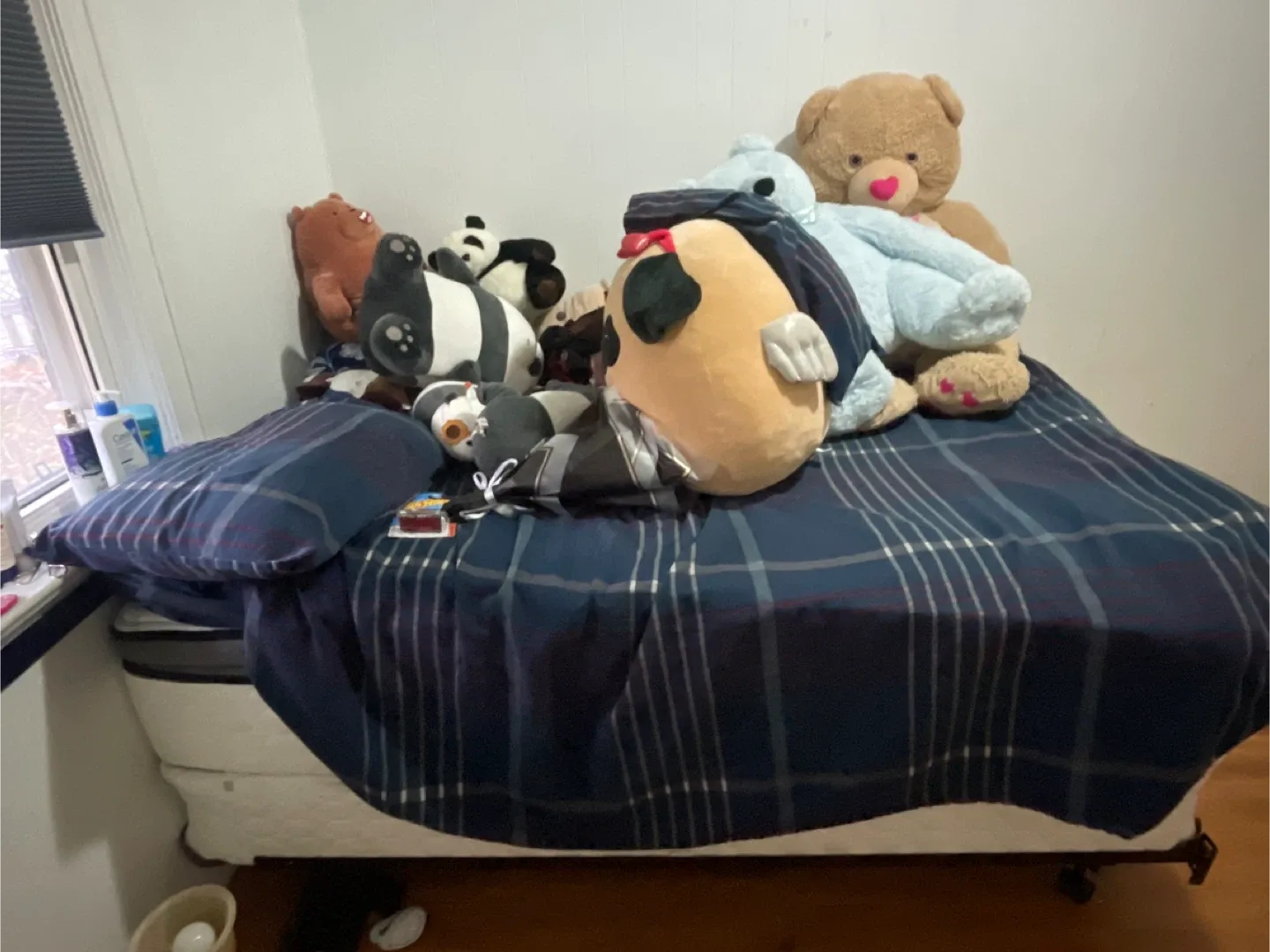 Double Sealy Posturepedic Mattress & Box Spring image indicator(4)