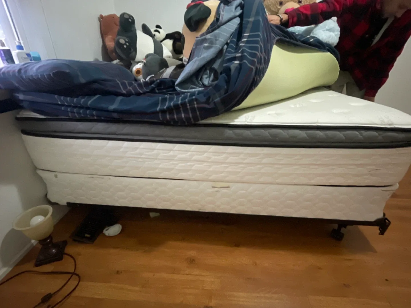 Double Sealy Posturepedic Mattress & Box Spring image indicator(2)