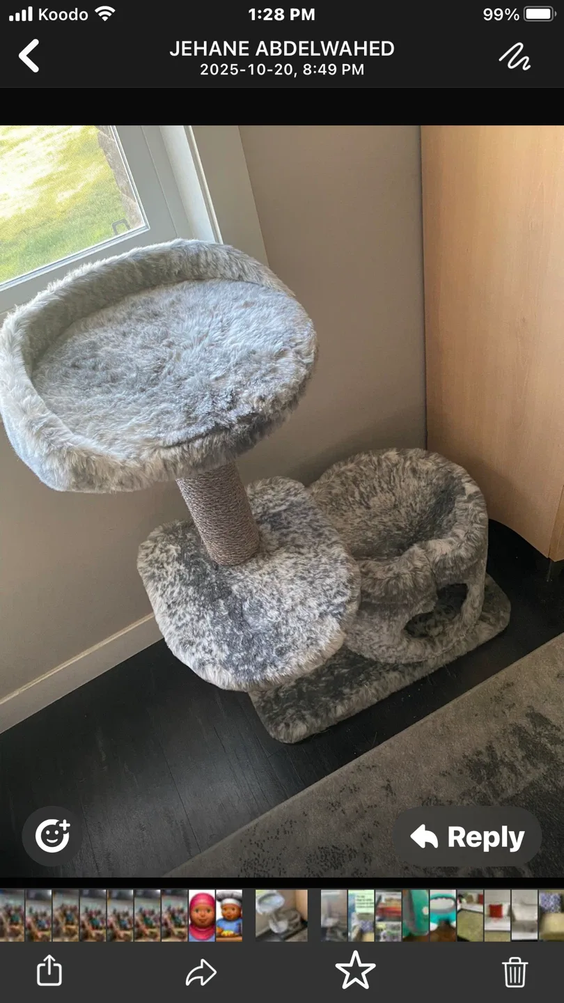 Cat Tree/Scratching Post