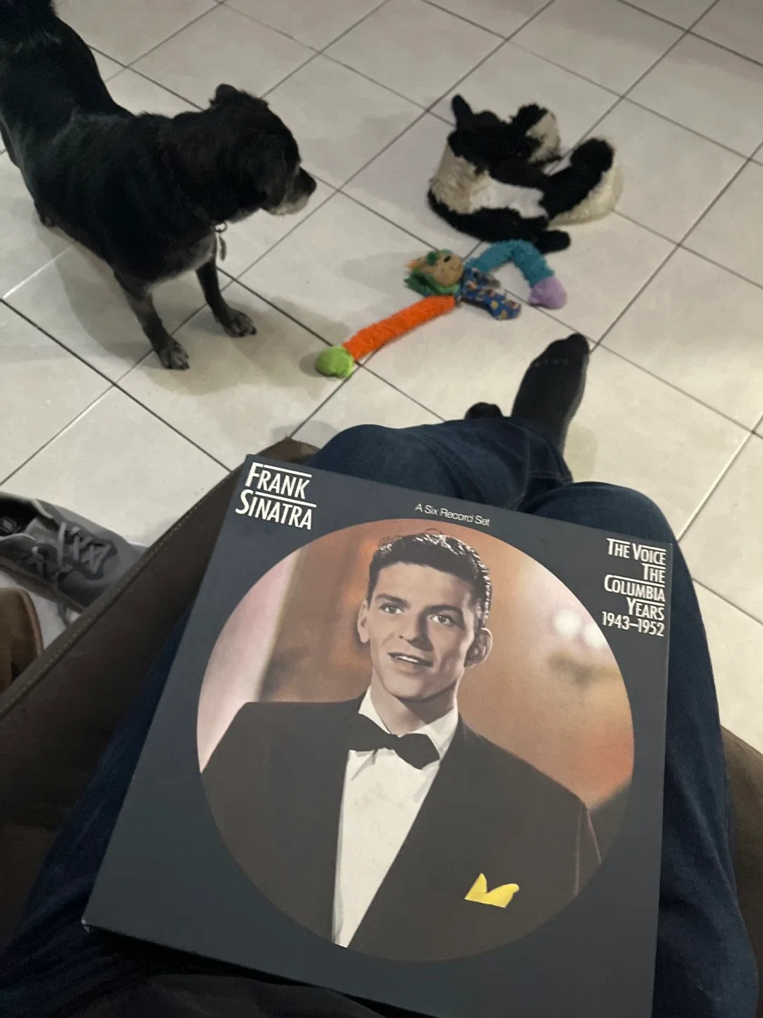 Frank Sinatra - The Columbia Years 1943-1952 Vinyl Set image indicator(3)