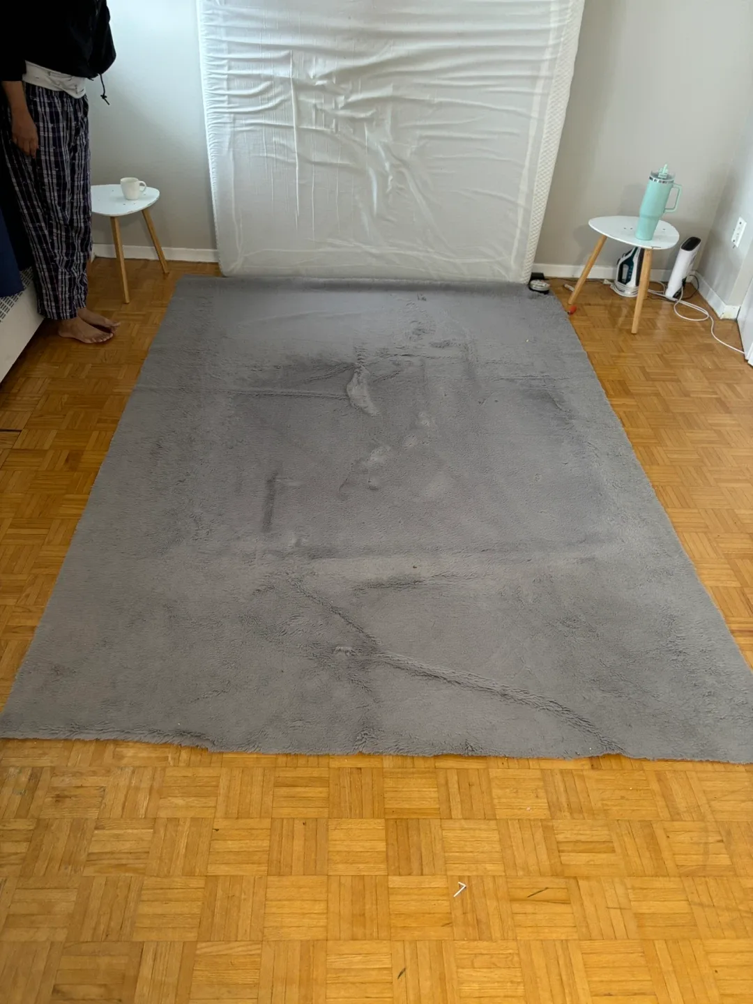 Grey Area Rug image indicator(2)