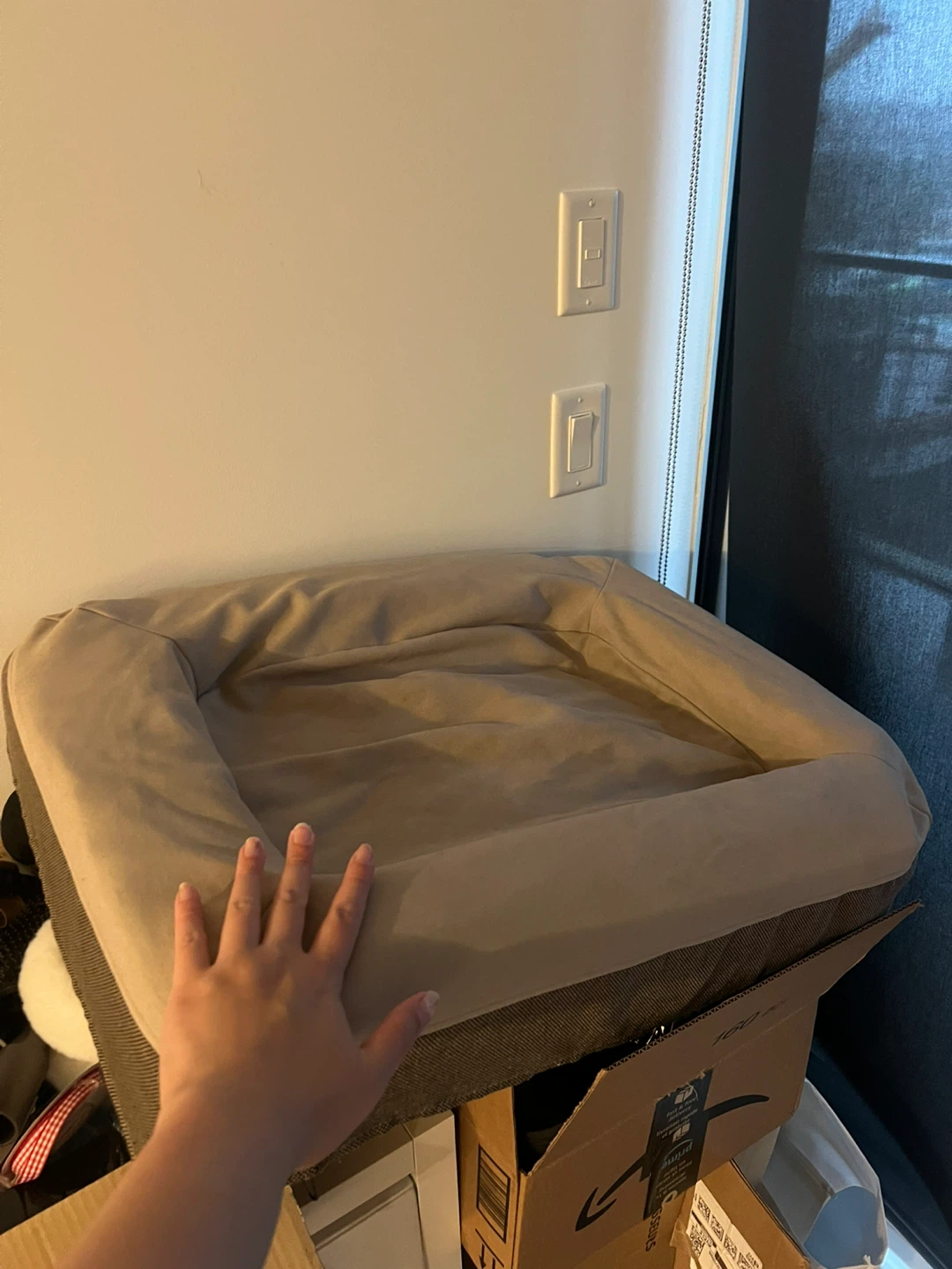 Casper Dog Bed washed