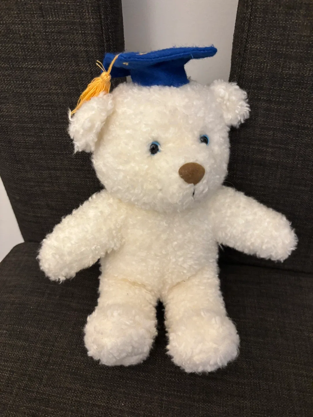 Graduation Teddy Bear
