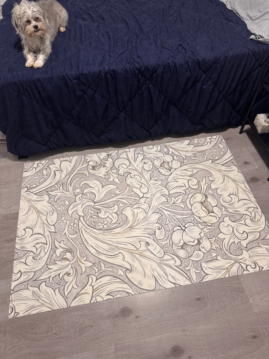SPICHER AND COMPANY Vinyl floor clothes - photo 2