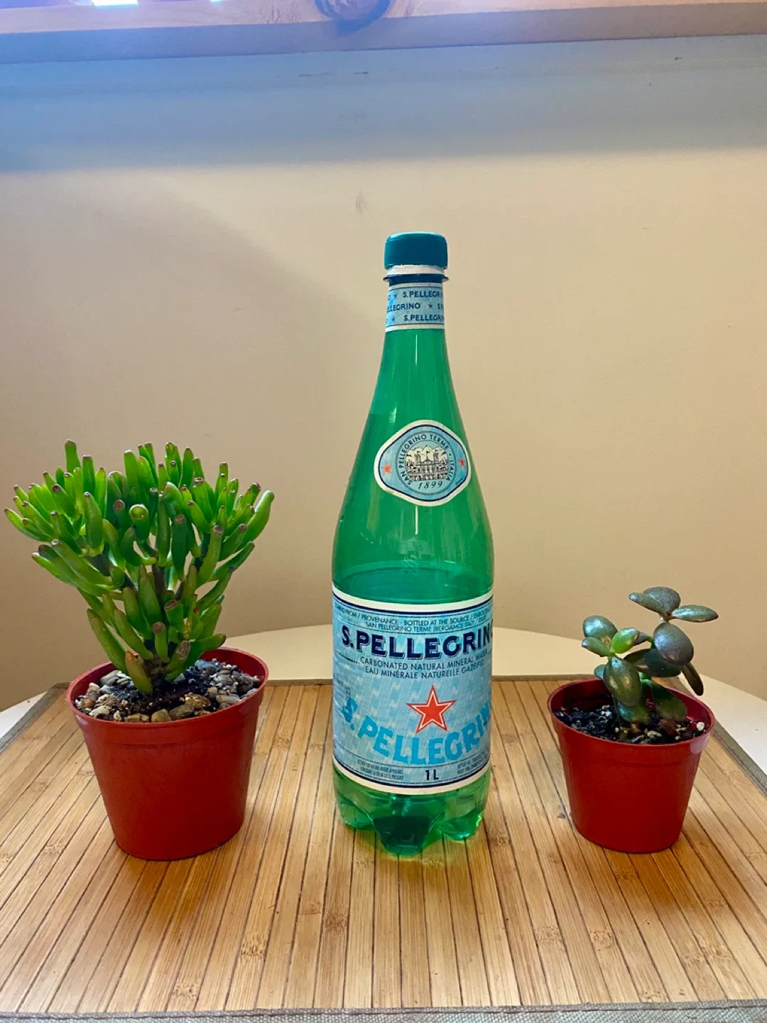 Plant duo - Gollum Jade and Regular Jade image indicator(8)