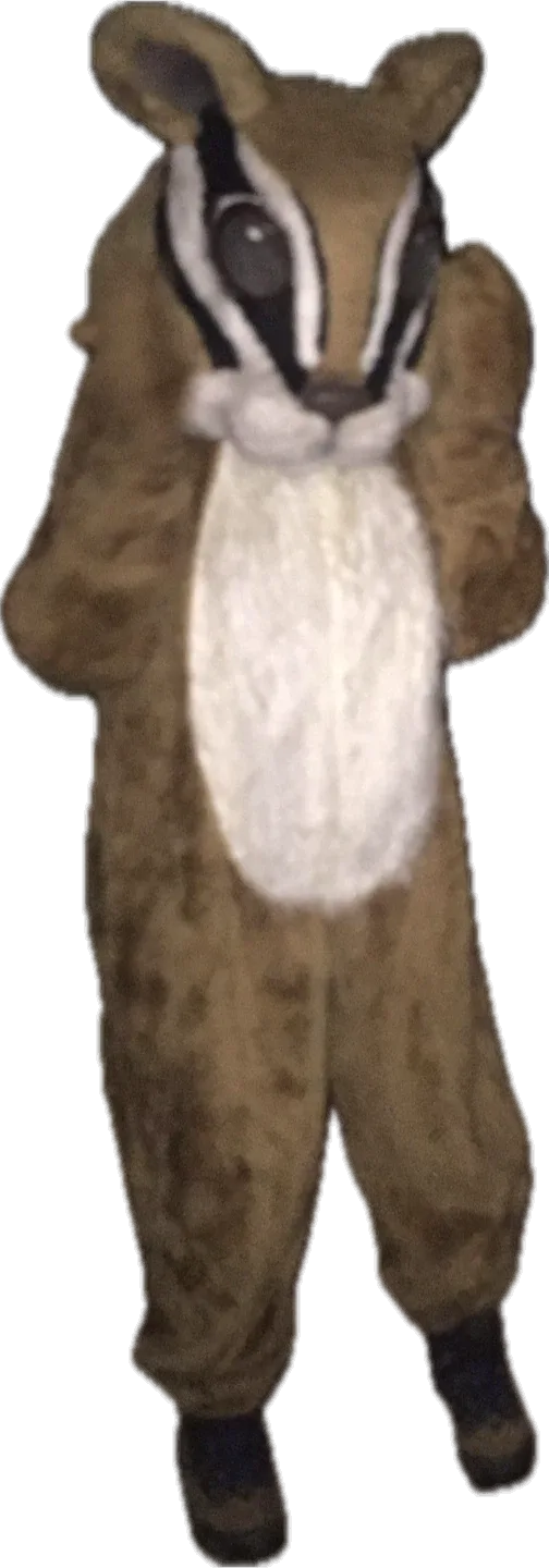 Professionally handmade Fur Suit Costume image indicator(2)