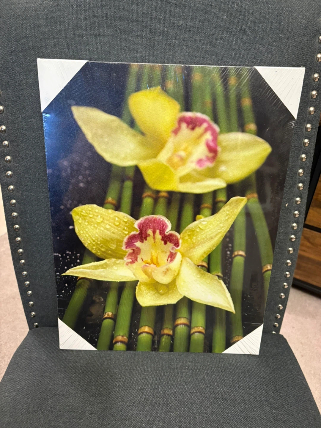 Orchid Canvas Wall Art - New in Packaging