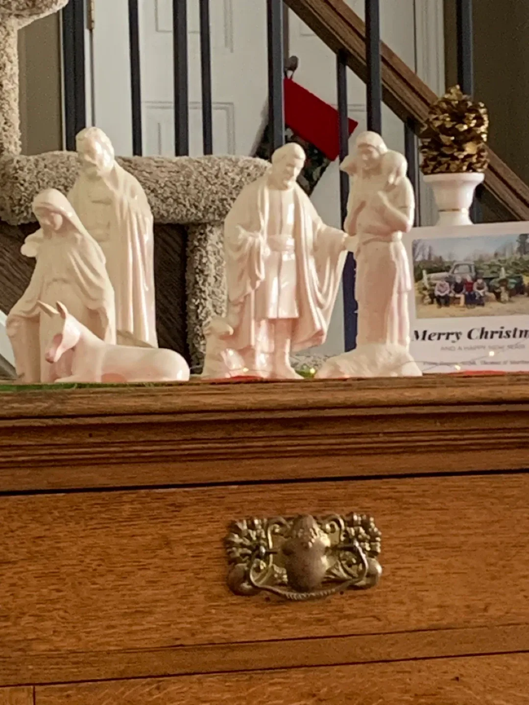 Nativity Scene 🥕 image indicator(5)