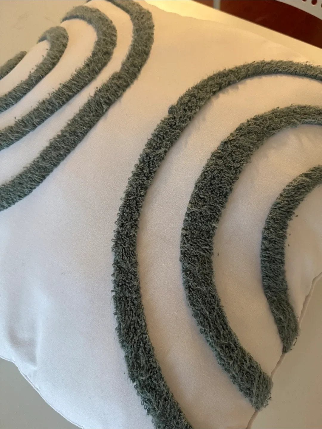 Decorative Throw Pillow image indicator(2)