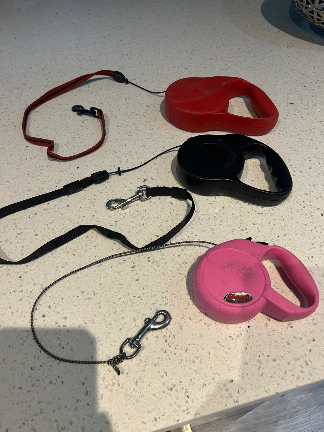 Flexi Retractable Dog Leashes - 3 Pack