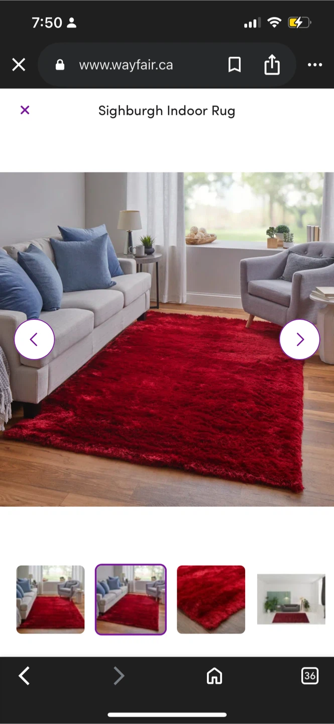 New Sighburgh Indoor Red Rug