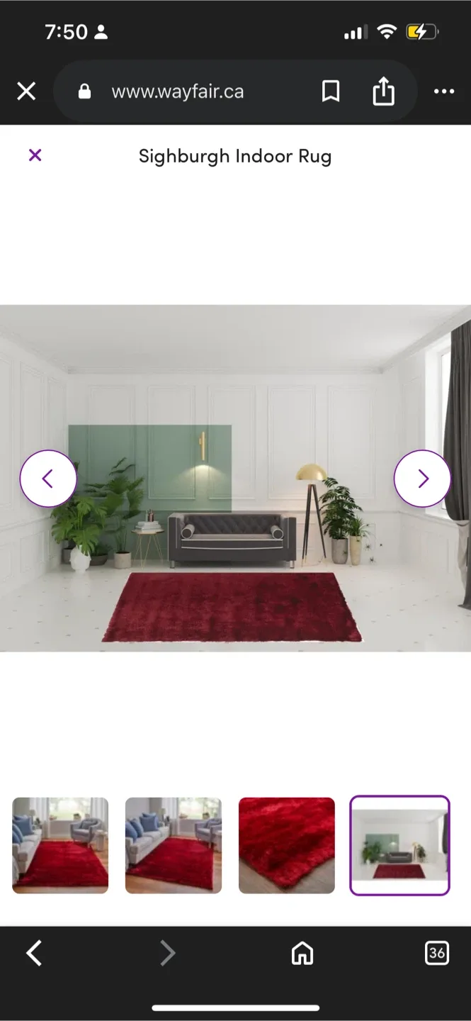 New Sighburgh Indoor Red Rug image indicator(4)