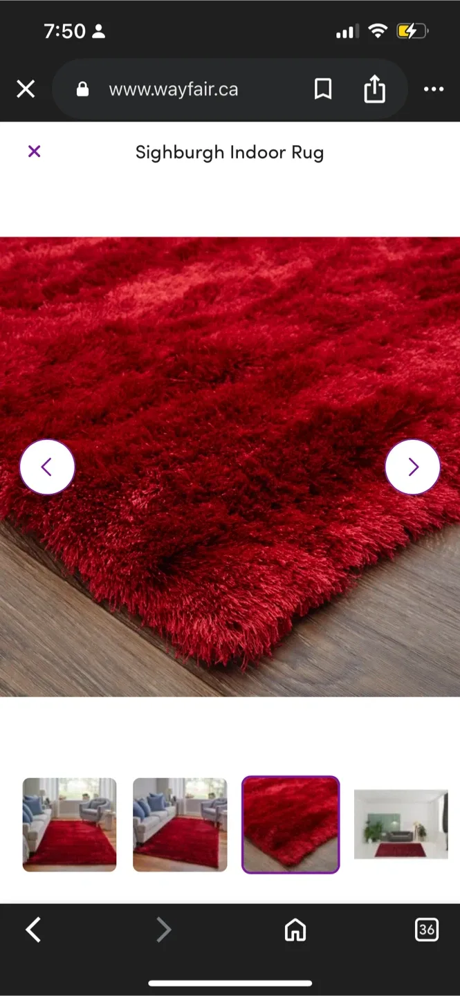 New Sighburgh Indoor Red Rug image indicator(3)