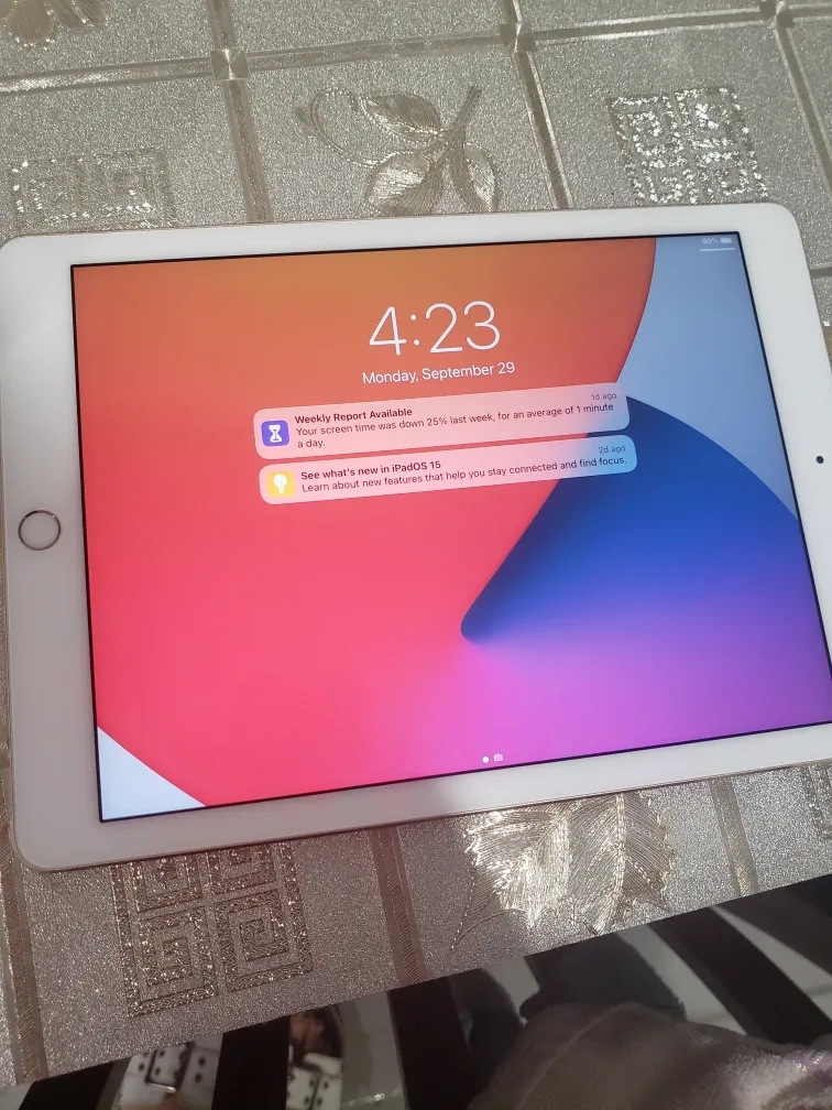 Apple iPad air2 cellular image indicator(5)