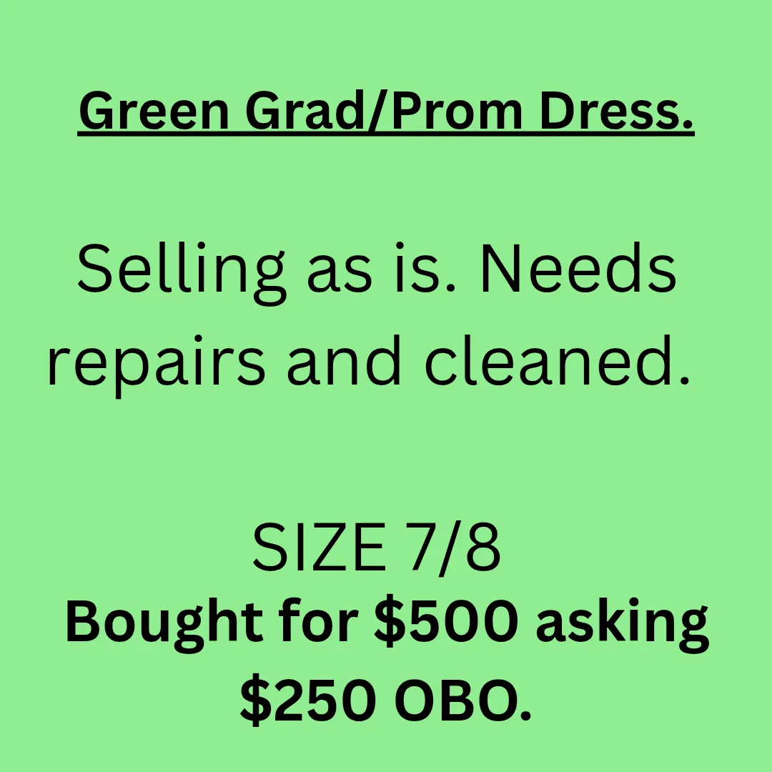 Green Sequin Corset Dress image indicator(6)