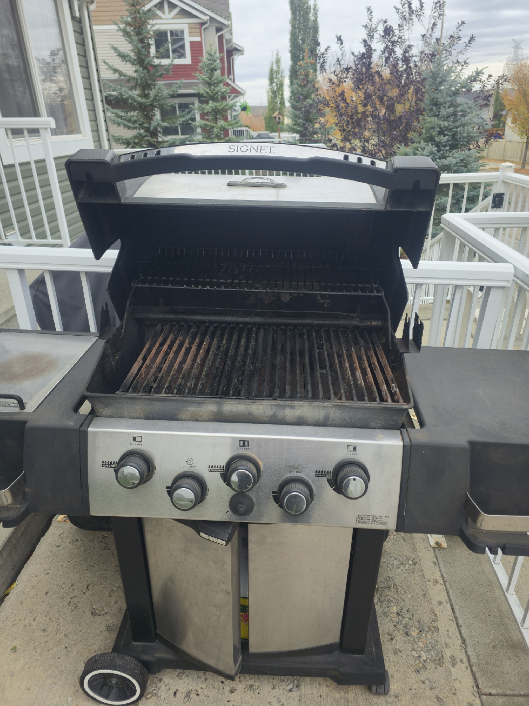 Signet BBQ Grill - photo 3