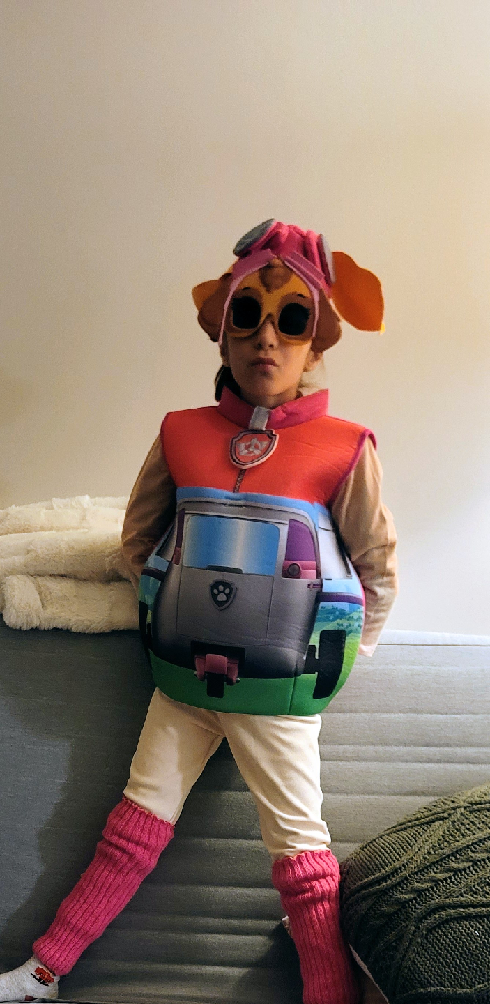 Paw Patrol Skye Costume - Size Small - photo 5