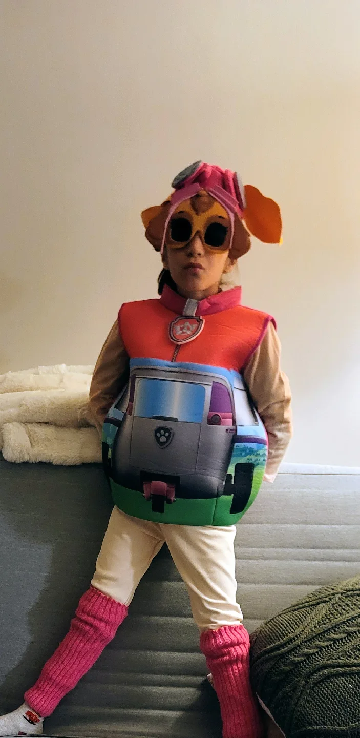 Paw Patrol Skye Costume - Size Small image indicator(5)