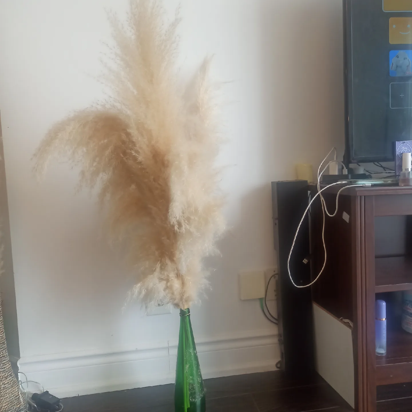 papas grass image indicator(3)