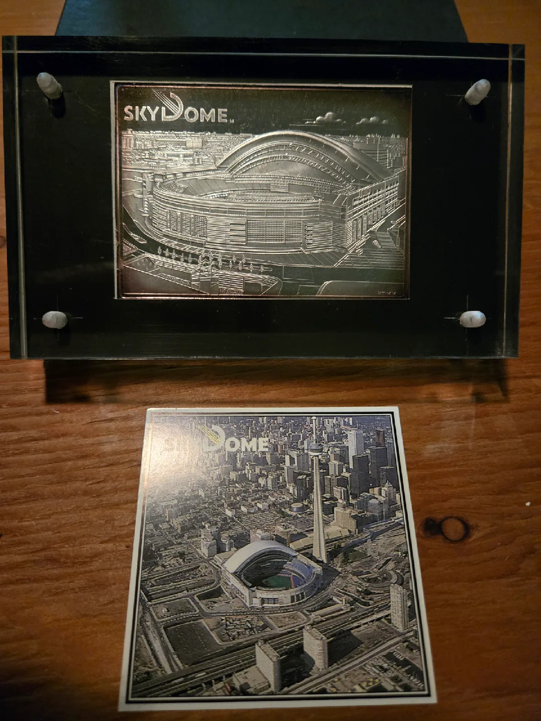 Catch The Blue Jays Fever! When It All Began! image indicator(4)