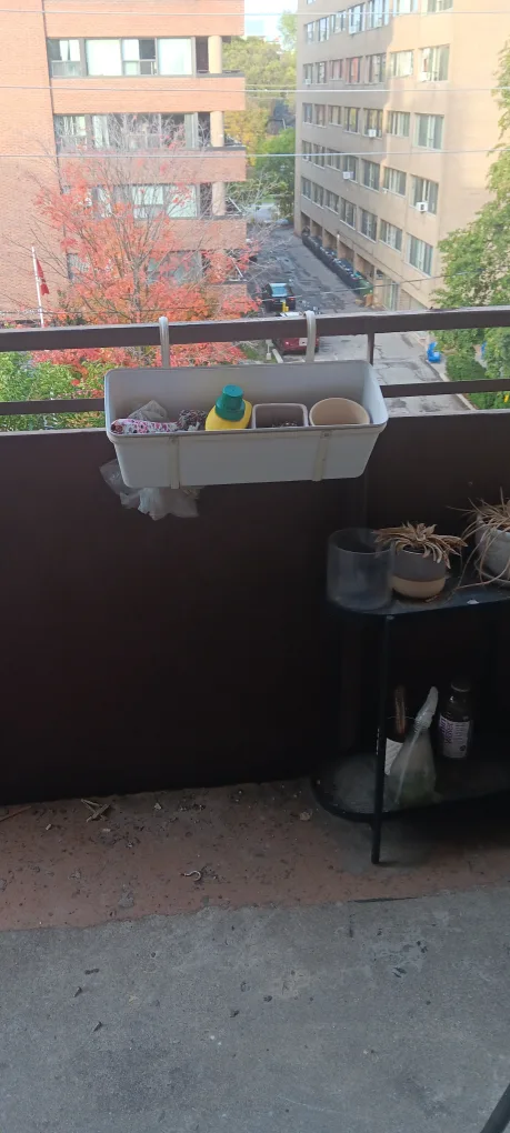 miscellaneous everything for $100