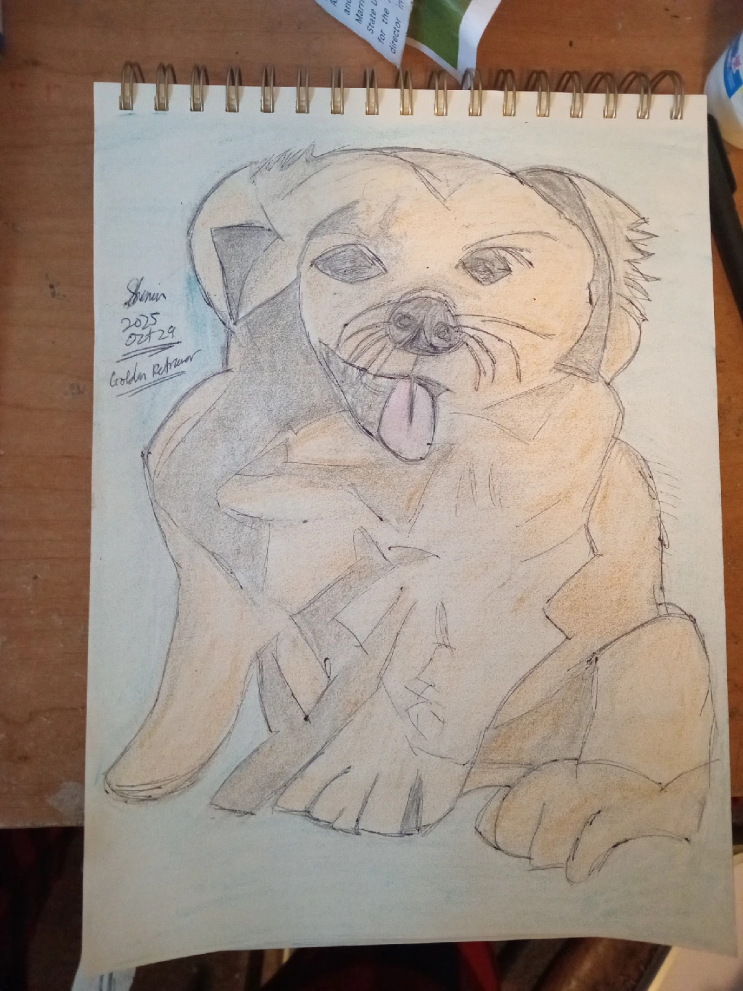 Golden Retriever Drawing Illustration by custom artist Sherwin