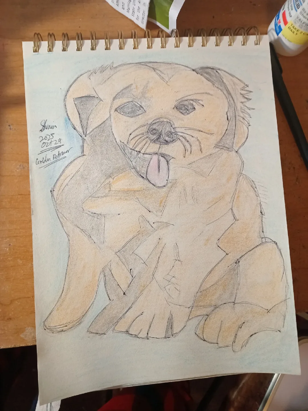 Golden Retriever Drawing Illustration by custom artist Sherwin image indicator(2)