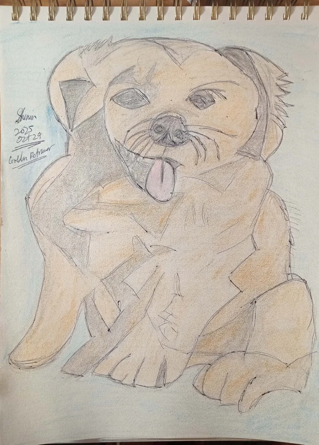 Golden Retriever Drawing Illustration by custom artist Sherwin image indicator(3)