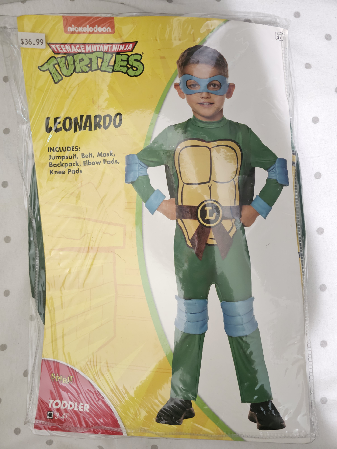 Teenage Mutant Ninja Turtles Leonardo Costume
