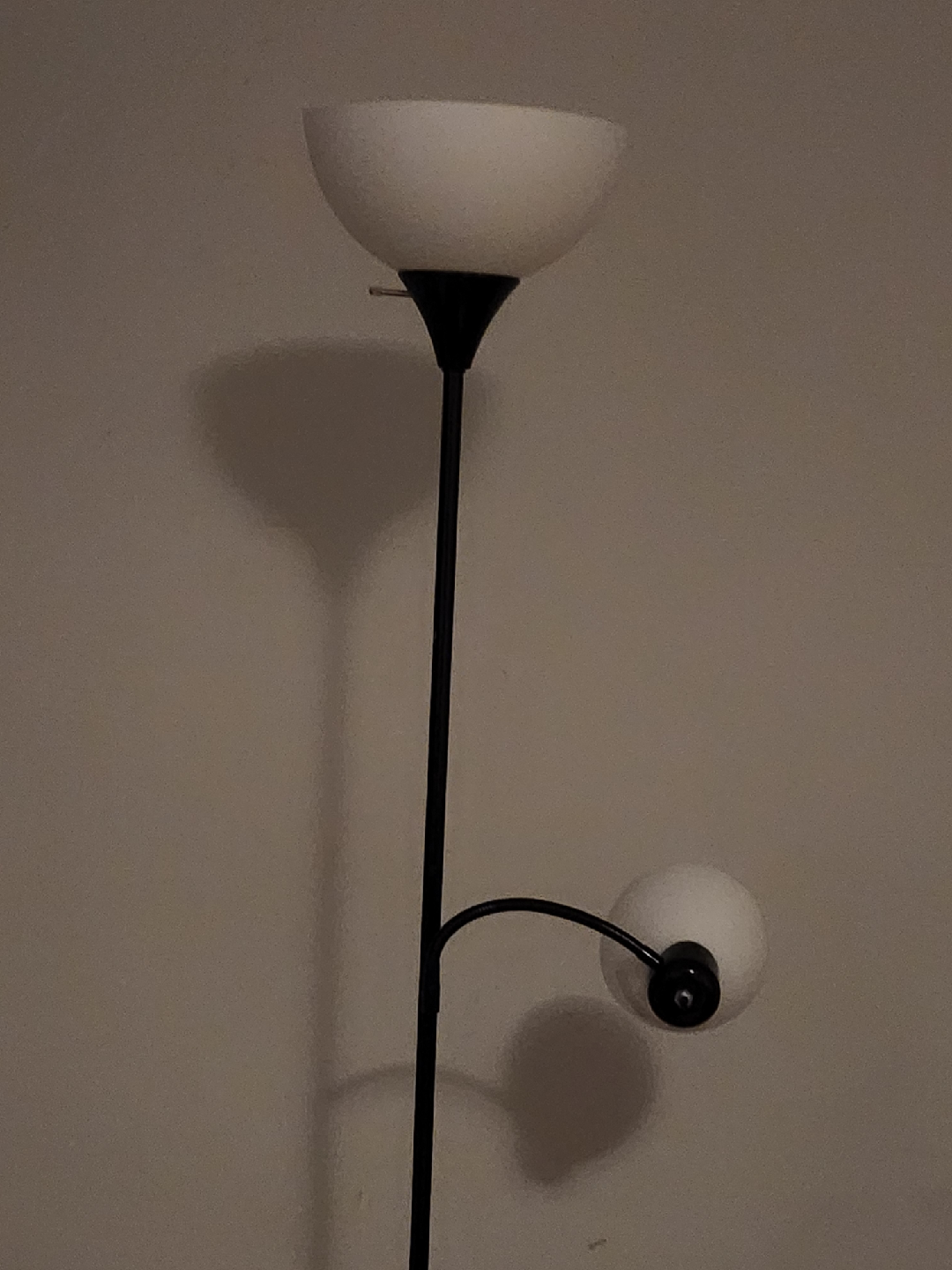 Floor Lamp with Reading Light
