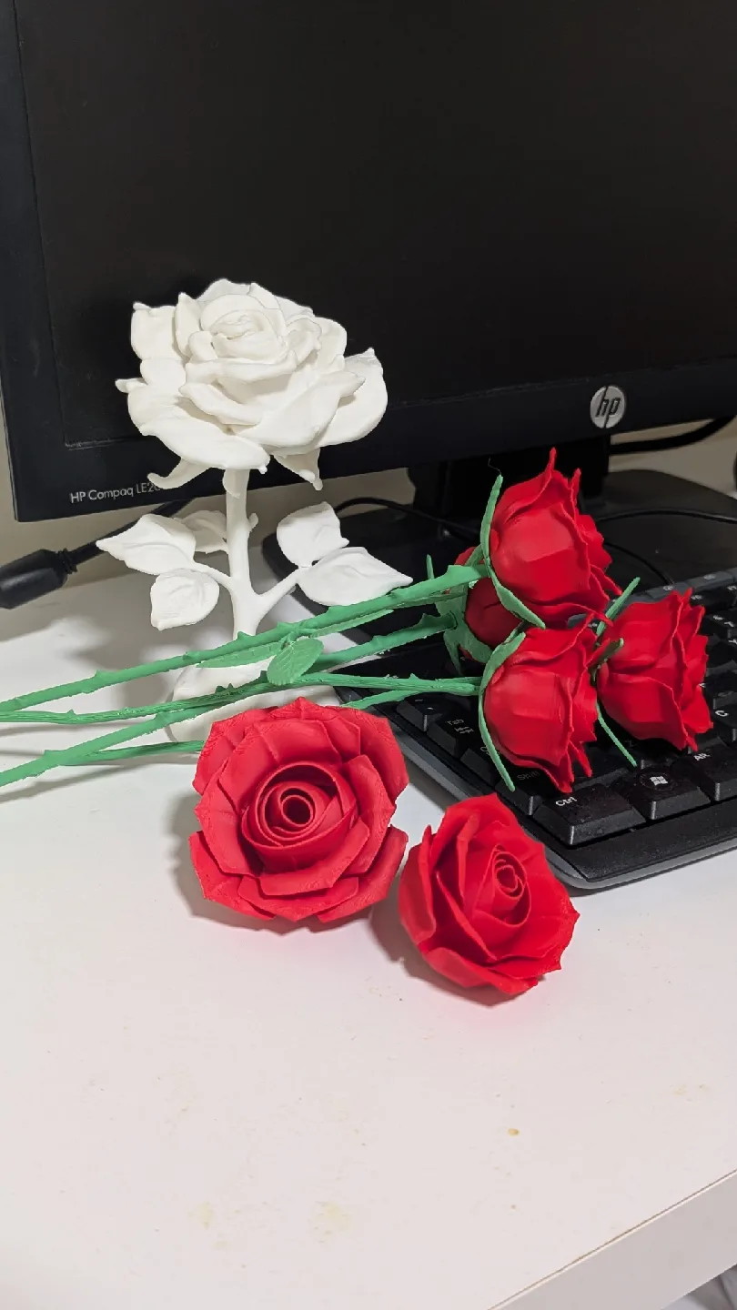 Artificial Roses - Red & White image indicator(2)